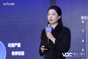 2024 VDC人工智能会场：全新蓝心大模型矩阵，助力开发者