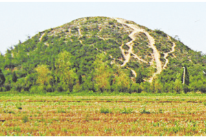 话说渭南丨掩埋在永陵下的悲情故事