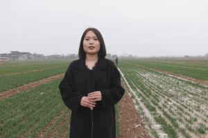 【新春走基层】富平县：春灌保墒正当时