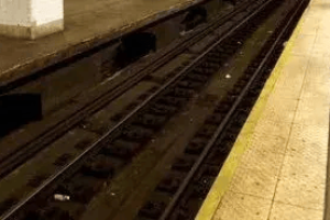 中国游客：美国绝不是许多人想象中那样美好，没有书上写的那么好