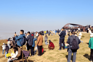 候鸟翩跹至 古镇烟火浓 永修吴城以生态之美燃旺冬日旅游热
