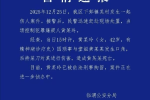 陕西渭南警方通报“女子持刀将堂姐砍死”：嫌犯有精神病诊疗史