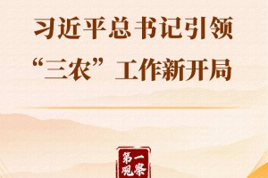 着眼“十五五”，习近平总书记引领“三农”工作新开局