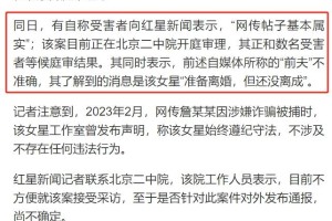 网传王丽坤还没离婚成功！老公詹某某涉嫌诈骗案已开庭