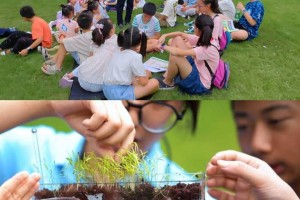 第二个全国生态日来了，一场科普教育活动在成都市植物园举行