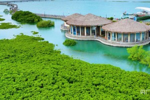 记者手记：踏浪而行，读懂生态为首的厦门“蓝”| 行进的海岸线