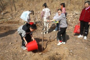 北京市：植树加文旅，市民游客平谷共赴春日之约