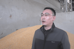 富平县：科技赋能 助力秋粮优储增效