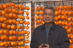 【每月农事】优质柿饼加工技术
