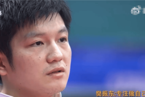 樊振东谈畸形饭圈文化：输球不行赢球也没那么行