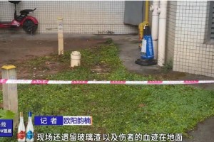 广州一小区发生高空抛物，清洁阿姨头被砸流血