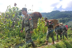 贵州仁怀龙井镇：田间好“丰”光 迷彩助农忙