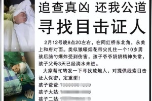 10岁男孩被烟花击中头部身亡事件所涉民事案件二审庭审结束