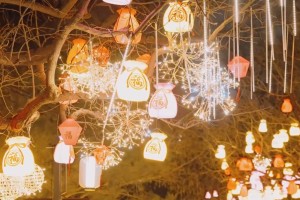 旅游市场热度高 入境消费潜力大——2026春节假期消费市场新观察