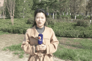 【富平能人】周海娥：加工传统烤馍粒 传承技艺麦香浓