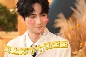 胡玫说边程是天上掉下来的贾宝玉：他的眼神清澈又梦幻