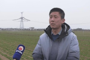 【新春走基层】富平县：水肥一体化“投喂”，让小麦“吃饱喝足”
