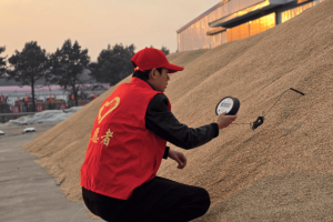 聚焦北大荒｜青龙山农场：“青春助农”全力协助种植户实现新粮变现