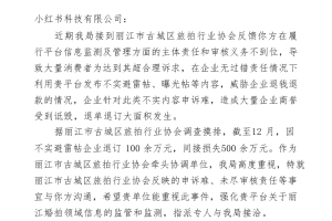 丽江旅拍协会回应“文旅局喊话小红书”：计划起诉平台