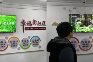 工人村社区开展爱护鸟类公益宣传活动