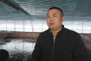 富平县张桥镇：践行“五水协同”理念 变“碱”为宝育鲜鲈