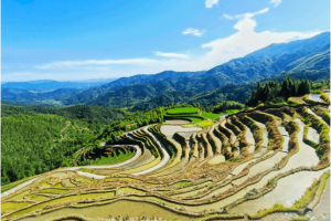 江西遂川:生态+文旅助力乡村振兴