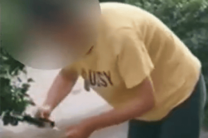 女子小区内放生蟑螂，是否涉嫌犯罪？