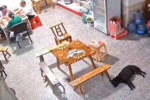 4人家中打牌被飞来轮胎砸中，当地回应