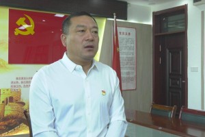 富平县委统战部：党建凝聚合力 共绘统战新篇