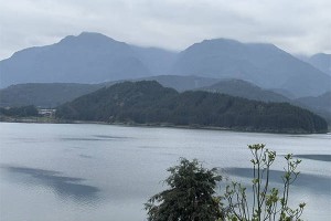 科技为笔绘生态画卷 眉山熊猫家园奏响共生新乐章