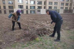 居民自己筹钱栽花种草，小区荒地变成“微花园”