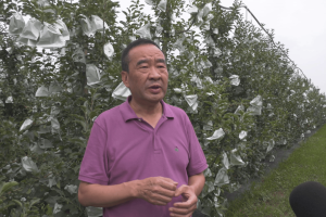 大方天玺：以苹果“中国芯”带动群众增收致富