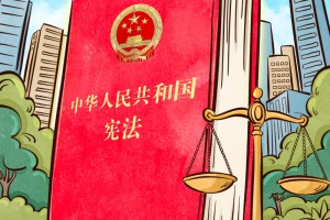 良法善治｜宪法的生命在于实施