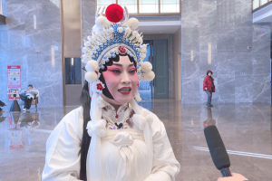 全国稀有剧种新春嘉年华·寻访好戏陕西站在富平县举办