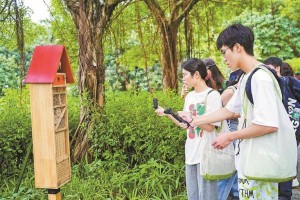 深圳湾潮汐湿地完成修复正式开放
