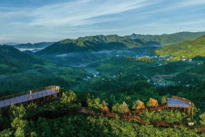 湖南桂东：五年深耕筑生态 绿水青山结“富果”