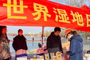 第30个“世界湿地日”：宁夏湿地达275万亩 鸟类增3万余只