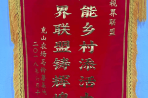 克山农场马铃薯基地：视界联盟助农行动显成效