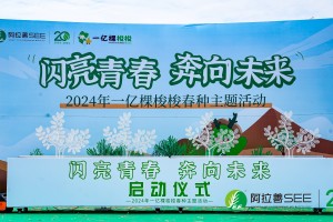 筑梦阿拉善 | 欧大师门窗开启沙漠绿州公益之旅