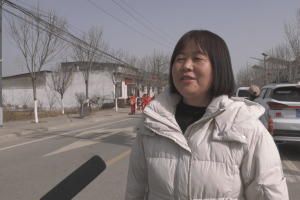 富平县梅家坪镇举办社火展演活动