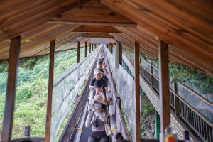 广西一景区“飞天魔毯”致1死60伤