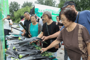 争做文明有礼天津人：绿色文明祭扫选择多
