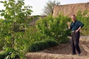 记忆中的老家是真的回不去了