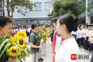 暖心！小学生“秘密”种植向日葵，赠高三学长学姐