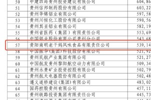 年营收仅实现微增，老干妈的“后陶华碧时代”怎么办？
