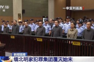 缅北电诈分子在中国被执行死刑，“虽远必诛”的法律依据是什么？