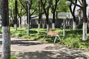 千张“爱心长椅”安放城市温柔，点亮民生微幸福