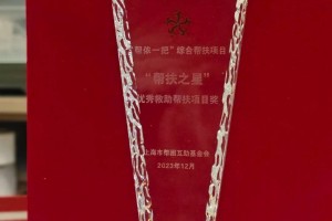 上海静安：荣获“帮扶之星”优秀救助帮扶项目奖！