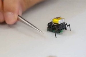 北京航空航天大学研发硬币大小昆虫机器人：快如蟑螂！