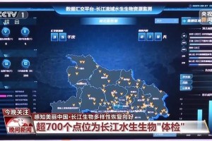 土著鱼类一年增加34种 长江生物多样性恢复向好